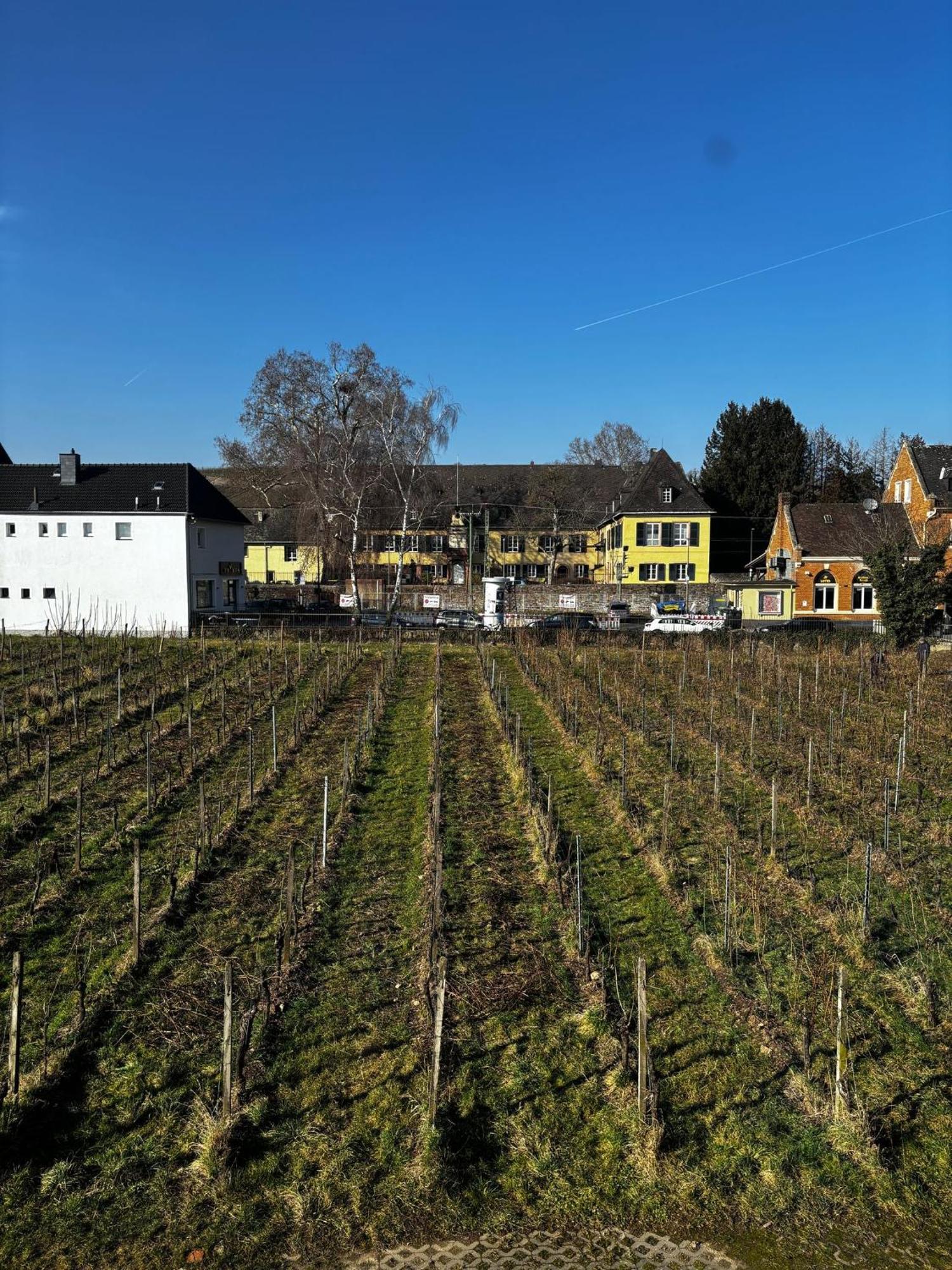 Schloss Schoenborn 가이젠하임 외부 사진