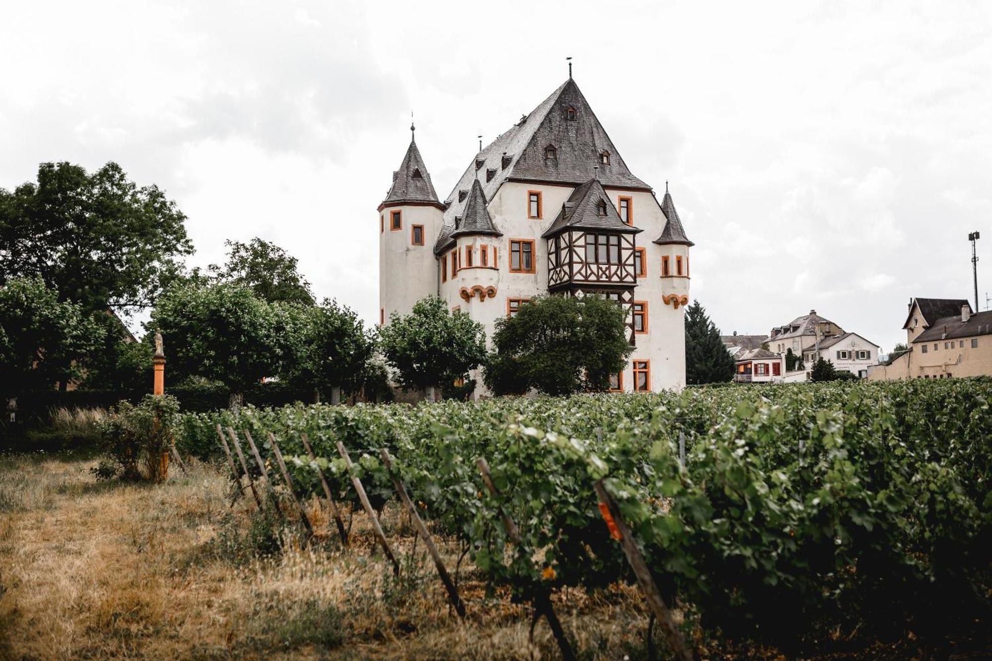 Schloss Schoenborn 가이젠하임 외부 사진